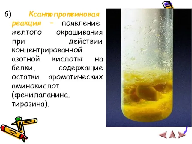 б) Ксантопротеиновая реакция – появление желтого окрашивания при действии концентрированной