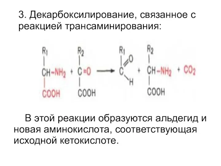 3. Декарбоксилирование, связанное с реакцией трансаминирования: В этой реакции образуются