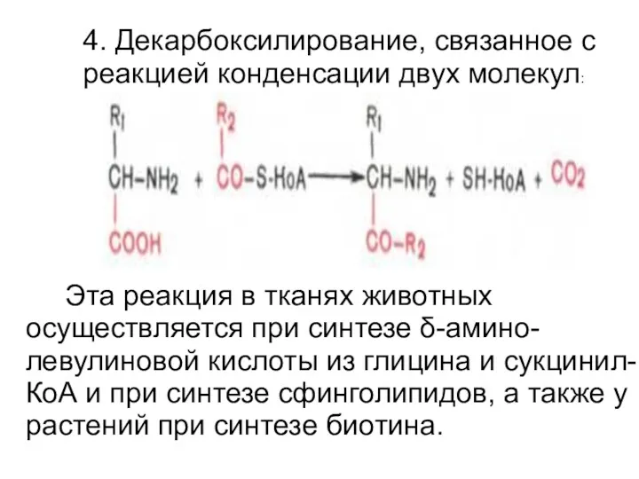 4. Декарбоксилирование, связанное с реакцией конденсации двух молекул: Эта реакция