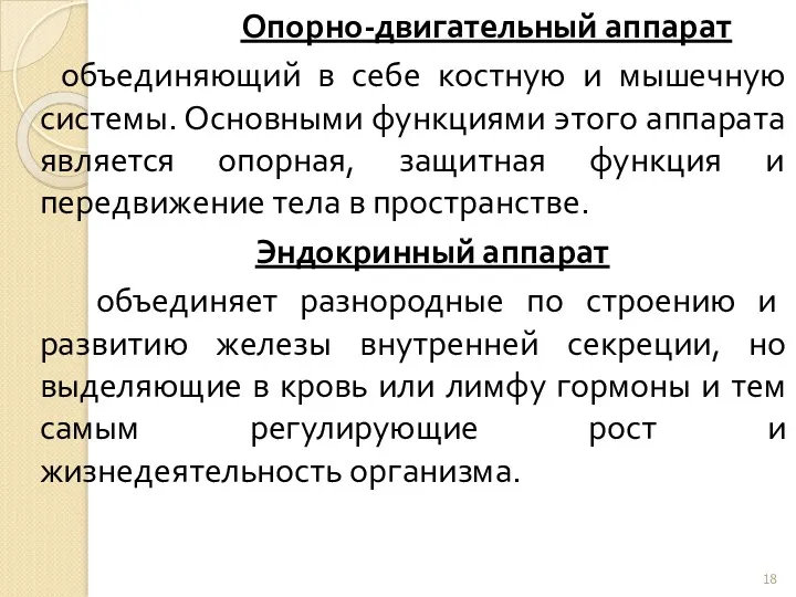 Опорно-двигательный аппарат объединяющий в себе костную и мышечную системы. Основными