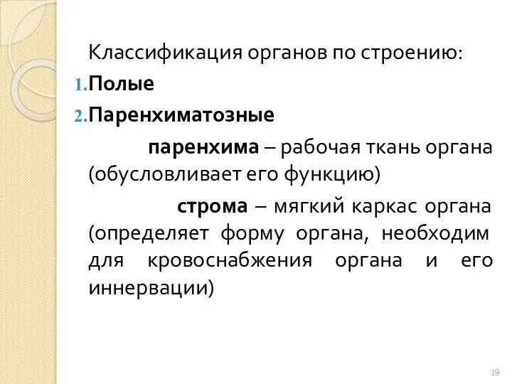 Классификация органов по строению: Полые Паренхиматозные паренхима – рабочая ткань