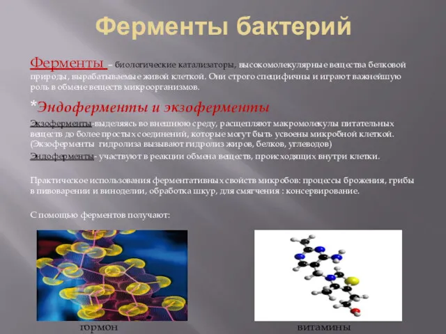 Ферменты бактерий Ферменты – биологические катализаторы, высокомолекулярные вещества белковой природы,