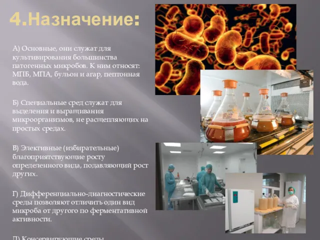 4.Назначение: А) Основные, они служат для культивирования большинства патогенных микробов.