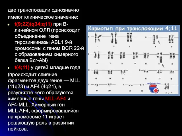 две транслокации однозначно имеют клиническое значение: t(9;22)(q34;q11) при В-линейном ОЛЛ