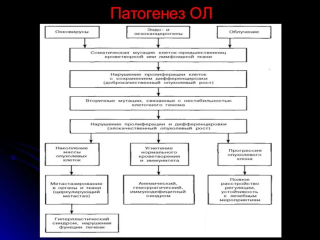 Патогенез ОЛ