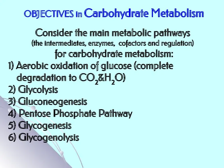OBJECTIVES in Carbohydrate Metabolism Consider the main metabolic pathways (the intermediates, enzymes, cofactors