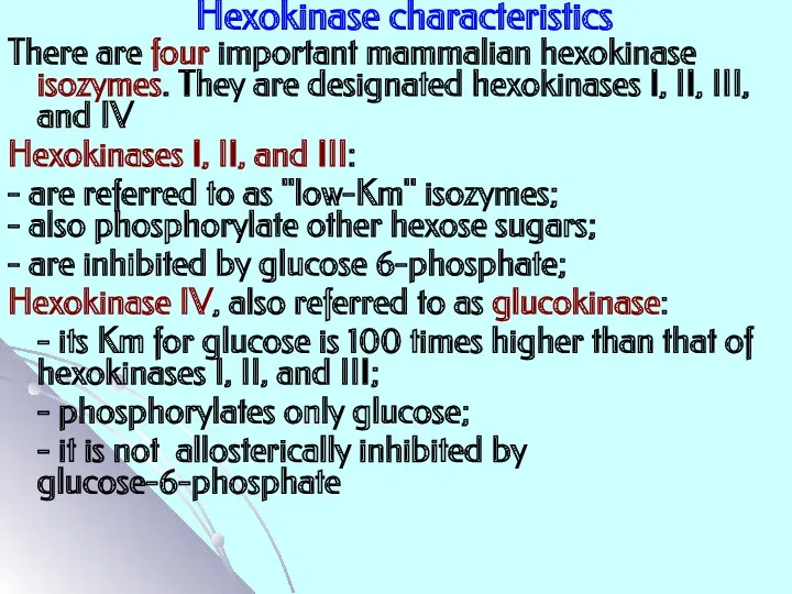 Hexokinase characteristics There are four important mammalian hexokinase isozymes. They are designated hexokinases