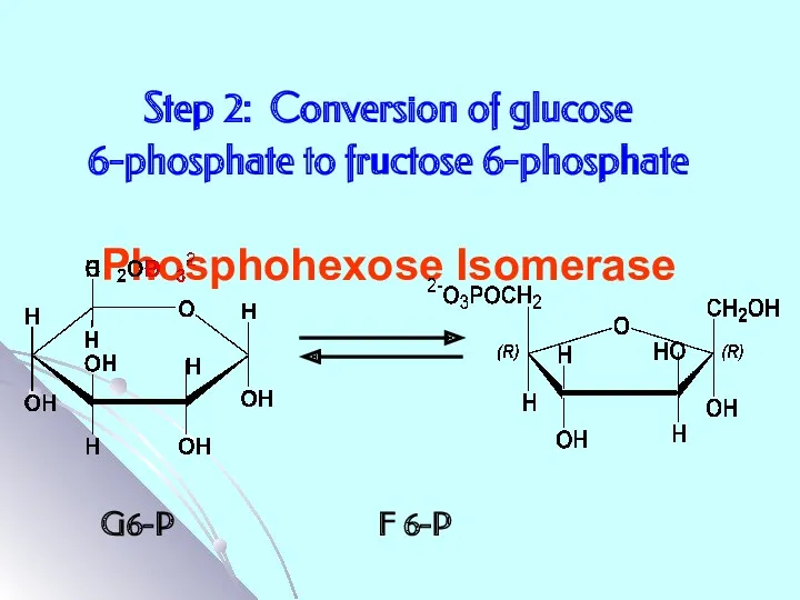 Step 2: Conversion of glucose 6-phosphate to fructose 6-phosphate Phosphohexose Isomerase G6-P F 6-P