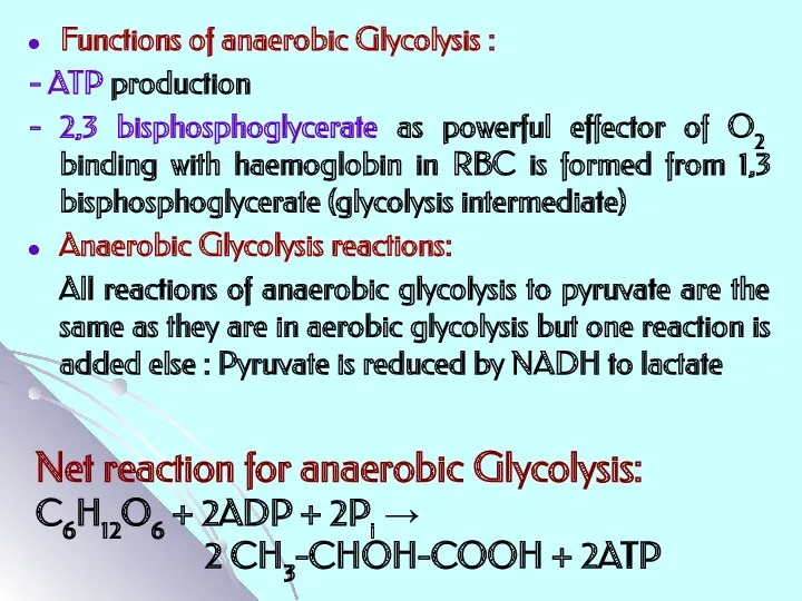 Functions of anaerobic Glycolysis : - ATP production - 2,3 bisphosphoglycerate as powerful