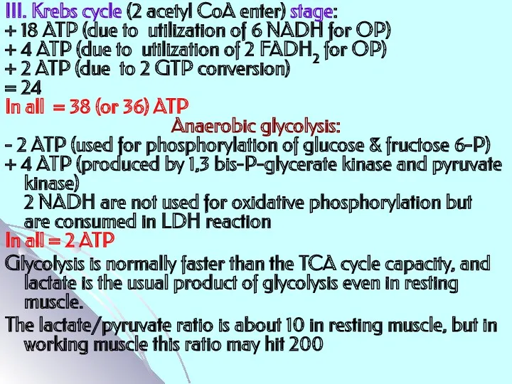 III. Krebs cycle (2 acetyl CoA enter) stage: + 18 ATP (due to