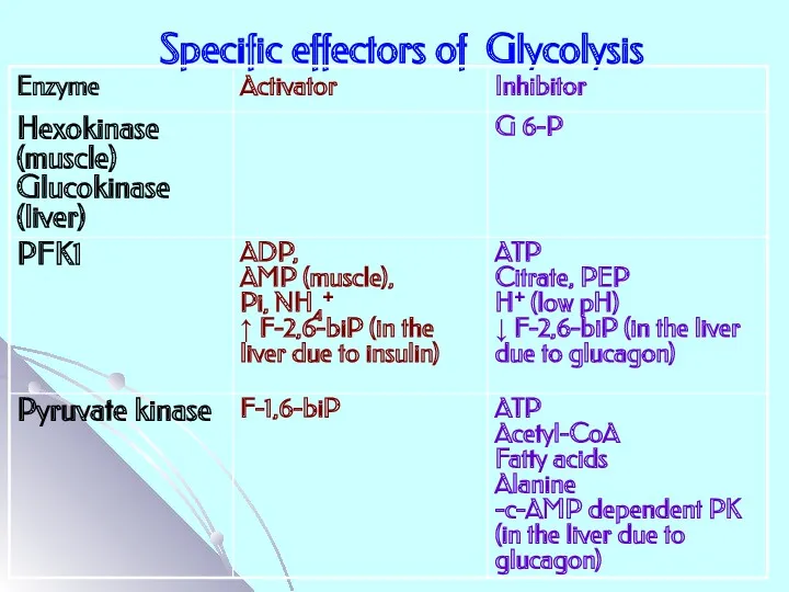 Specific effectors of Glycolysis