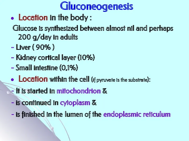 Gluconeogenesis Location in the body : Glucose is synthesized between almost nil and