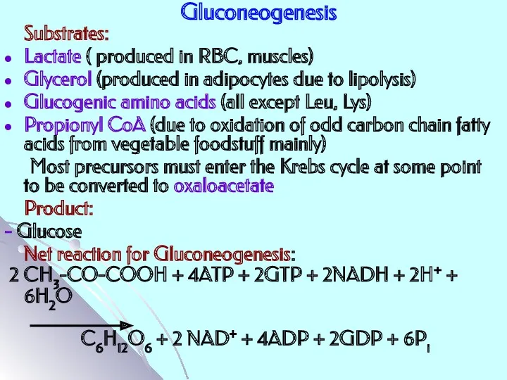 Gluconeogenesis Substrates: Lactate ( produced in RBC, muscles) Glycerol (produced in adipocytes due