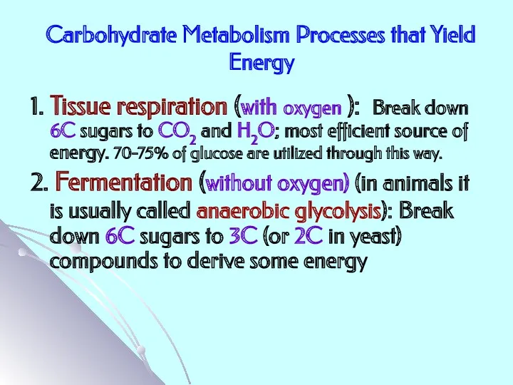 Carbohydrate Metabolism Processes that Yield Energy 1. Tissue respiration (with oxygen ): Break
