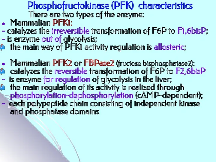 Phosphofructokinase (PFK) characteristics Mammalian PFK1: - catalyzes the irreversible transformation of F6P to