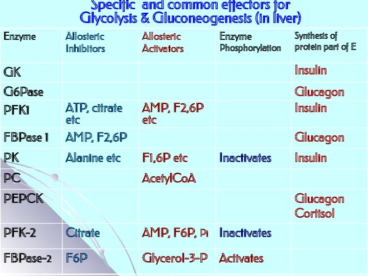 Specific and common effectors for Glycolysis & Gluconeogenesis (in liver)