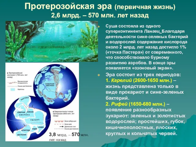 Протерозойская эра (первичная жизнь) 2,6 млрд. – 570 млн. лет