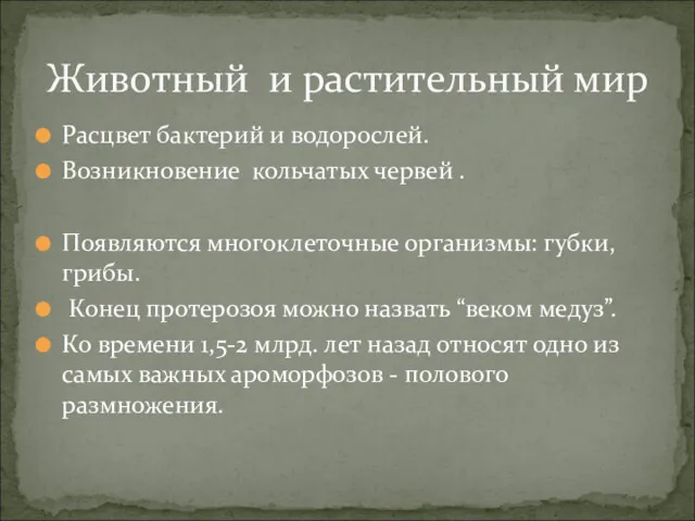 Расцвет бактерий и водорослей. Возникновение кольчатых червей . Появляются многоклеточные