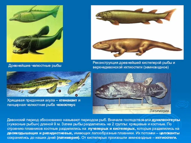 Древнейшие челюстные рыбы Реконструкция древнейшей кистеперой рыбы и верхнедевонской ихтиостеги