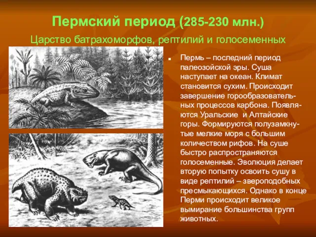 Пермский период (285-230 млн.) Царство батрахоморфов, рептилий и голосеменных Пермь