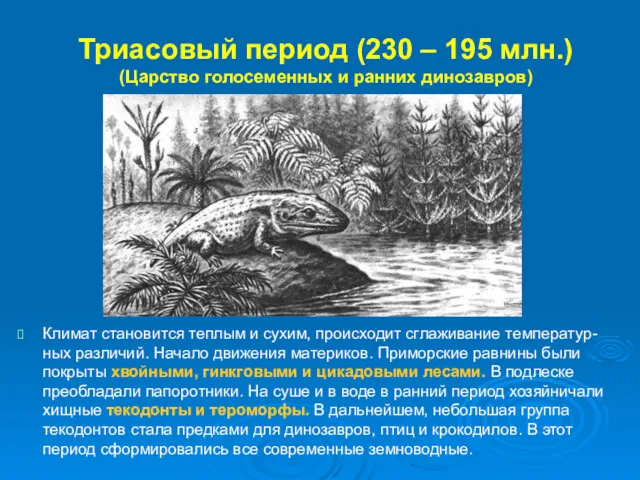 Триасовый период (230 – 195 млн.) (Царство голосеменных и ранних