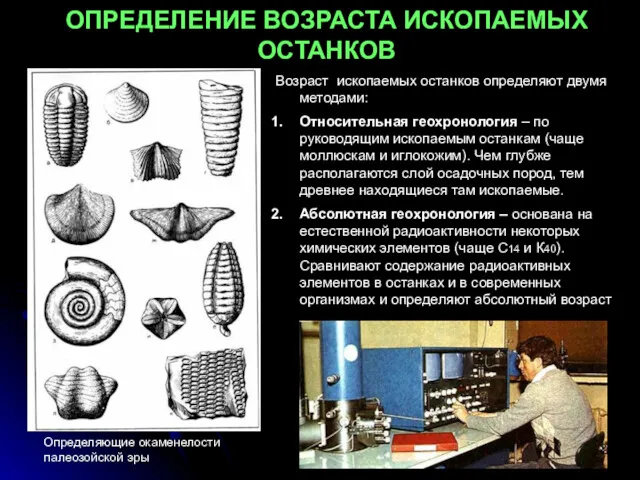 ОПРЕДЕЛЕНИЕ ВОЗРАСТА ИСКОПАЕМЫХ ОСТАНКОВ Возраст ископаемых останков определяют двумя методами: