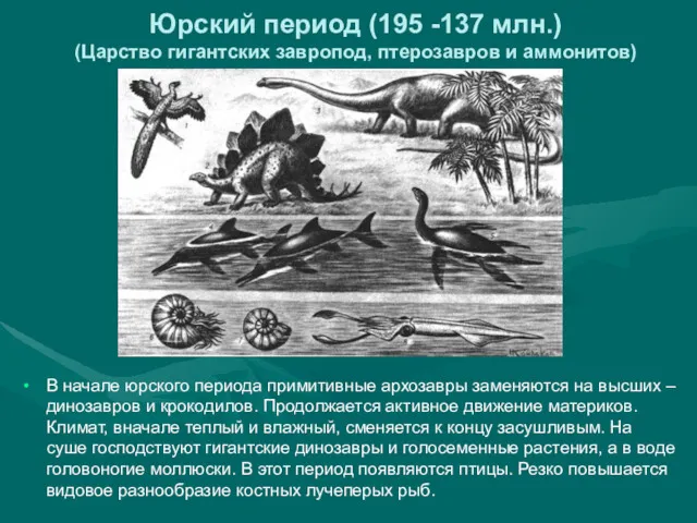 Юрский период (195 -137 млн.) (Царство гигантских завропод, птерозавров и