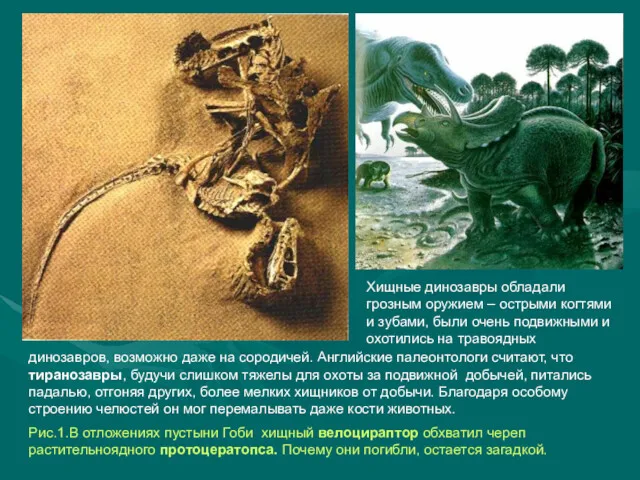 Хищные динозавры обладали грозным оружием – острыми когтями и зубами,