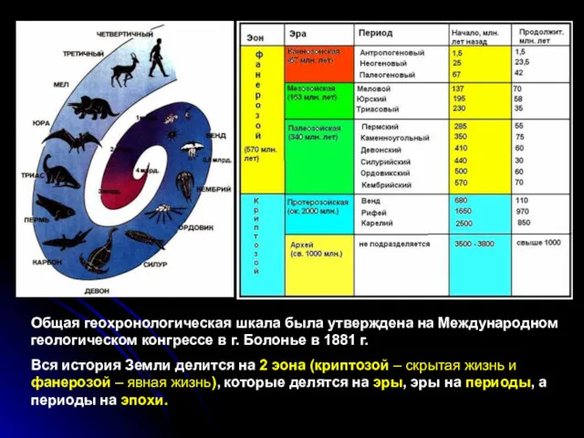 Общая геохронологическая шкала была утверждена на Международном геологическом конгрессе в