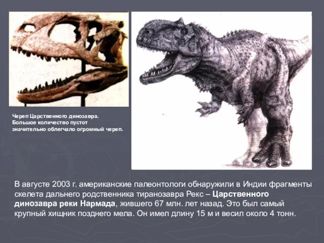 В августе 2003 г. американские палеонтологи обнаружили в Индии фрагменты