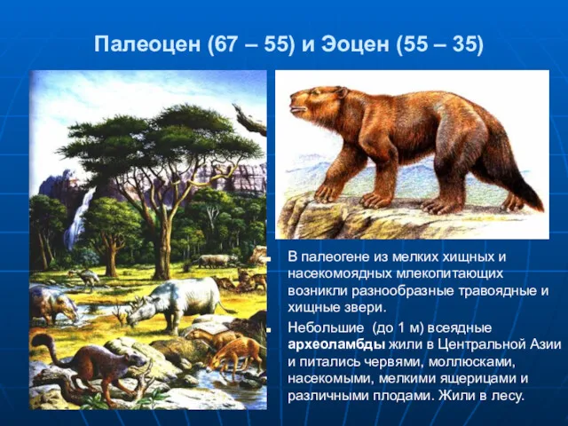 Палеоцен (67 – 55) и Эоцен (55 – 35) В