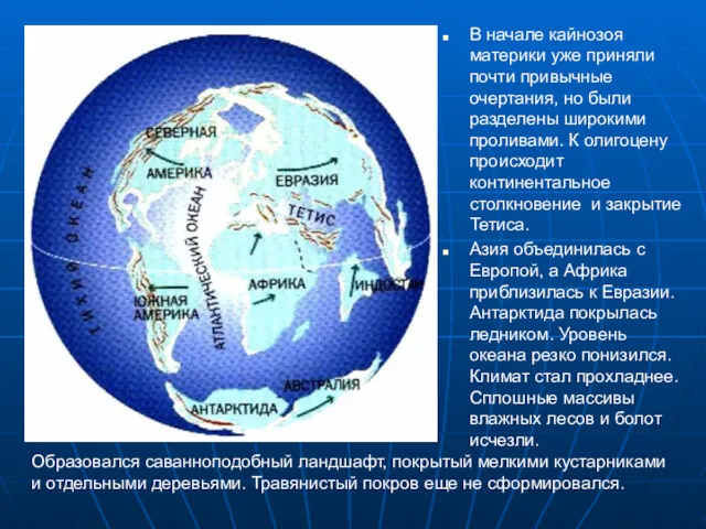 В начале кайнозоя материки уже приняли почти привычные очертания, но