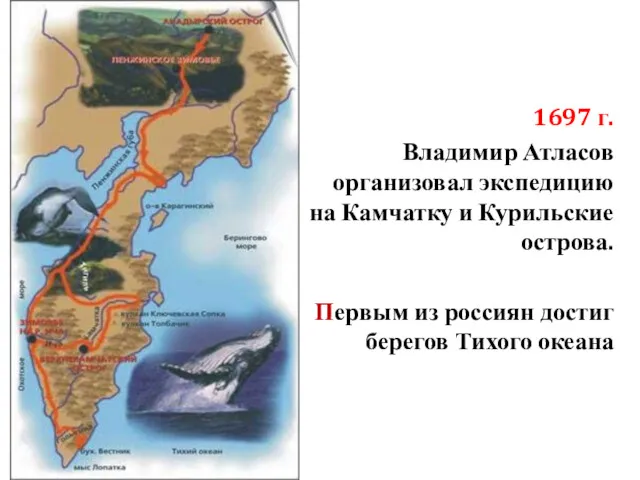 1697 г. Владимир Атласов организовал экспедицию на Камчатку и Курильские
