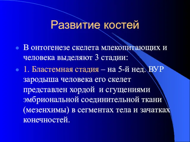 Развитие костей В онтогенезе скелета млекопитающих и человека выделяют 3