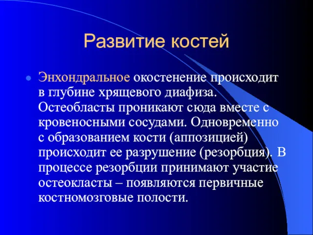 Развитие костей Энхондральное окостенение происходит в глубине хрящевого диафиза. Остеобласты