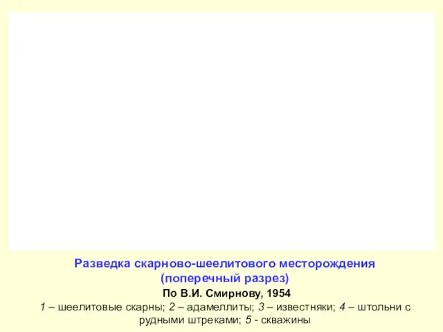 Разведка скарново-шеелитового месторождения (поперечный разрез) По В.И. Смирнову, 1954 1