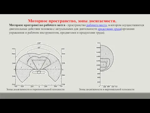 Моторное пространство, зоны досягаемости. Зоны досягаемости в горизонтальной плоскости Зоны