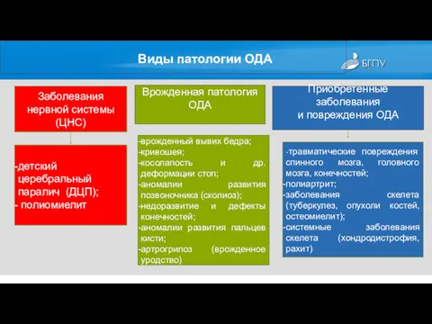 Приобретенные заболевания и повреждения ОДА Врожденная патология ОДА Виды патологии