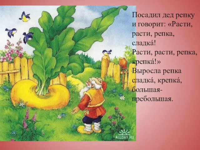 Посадил дед репку и говорит: «Расти, расти, репка, сладкá! Расти,