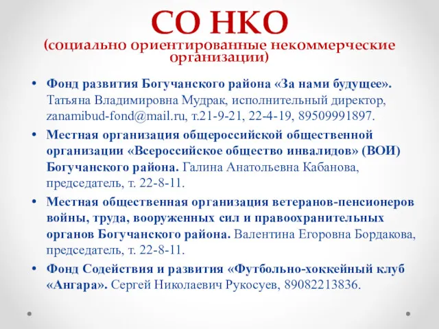 СО НКО (социально ориентированные некоммерческие организации) Фонд развития Богучанского района