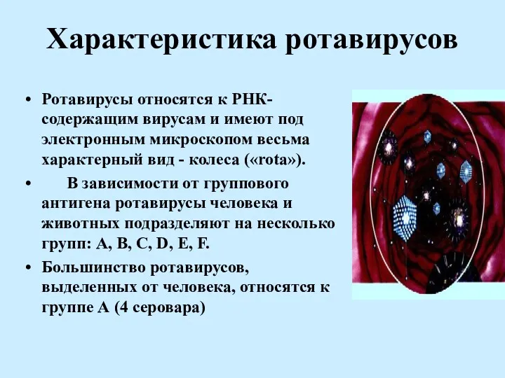 Характеристика ротавирусов Ротавирусы относятся к РНК-содержащим вирусам и имеют под электронным микроскопом весьма