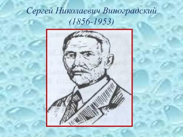Сергей Николаевич Виноградский (1856-1953)