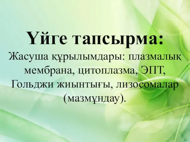 Үйге тапсырма: Жасуша құрылымдары: плазмалық мембрана, цитоплазма, ЭПТ, Гольджи жиынтығы, лизосомалар (мазмұндау).