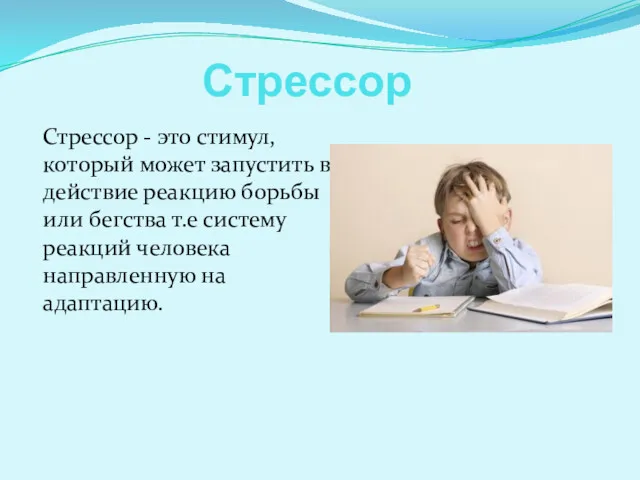 Стрессор Стрессор - это стимул, который может запустить в действие реакцию борьбы или