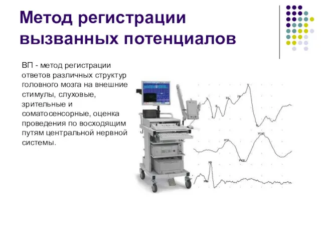 Метод регистрации вызванных потенциалов ВП - метод регистрации ответов различных