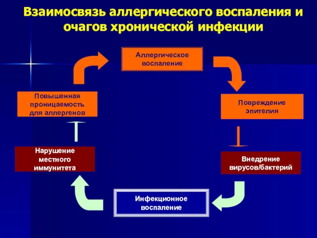 Взаимосвязь аллергического воспаления и очагов хронической инфекции Аллергическое воспаление Внедрение