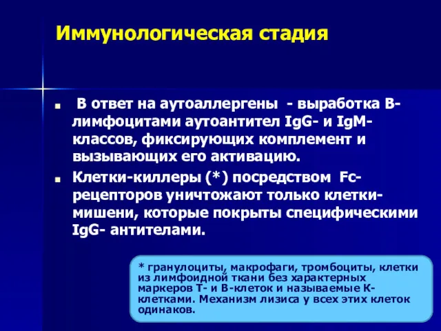 Иммунологическая стадия В ответ на аутоаллергены - выработка В-лимфоцитами аутоантител