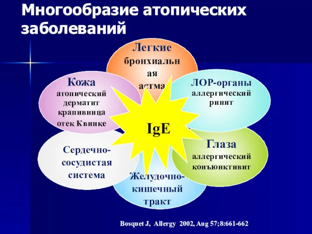 Легкие бронхиальная астма Сердечно- сосудистая система Глаза аллергический конъюнктивит Кожа