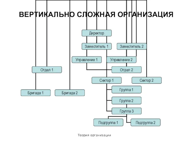 Теория организации ВЕРТИКАЛЬНО СЛОЖНАЯ ОРГАНИЗАЦИЯ