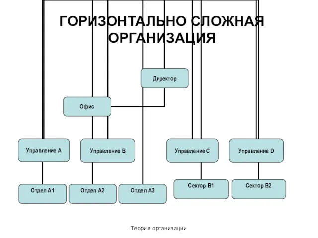 Теория организации ГОРИЗОНТАЛЬНО СЛОЖНАЯ ОРГАНИЗАЦИЯ